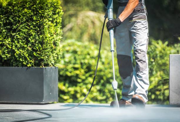 Best Pre-Holiday Cleaning  in Norman Park, GA